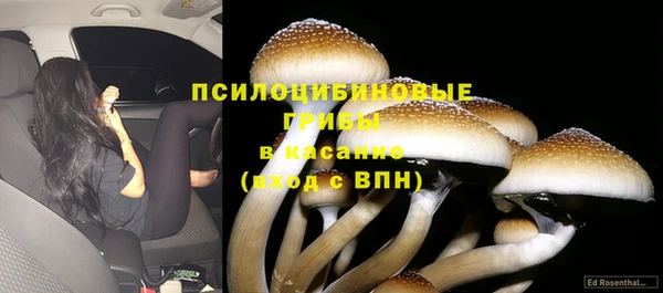 наркотики Каменногорск