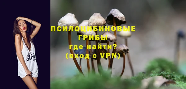 каннабис Каменка