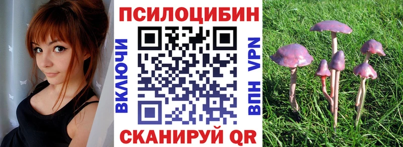 Псилоцибиновые грибы Psilocybe  Купить  Спас-Деменск 